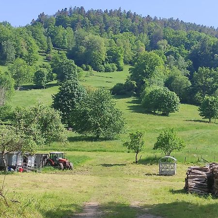 Les Studios Du Frankenthal Stosswihr ภายนอก รูปภาพ