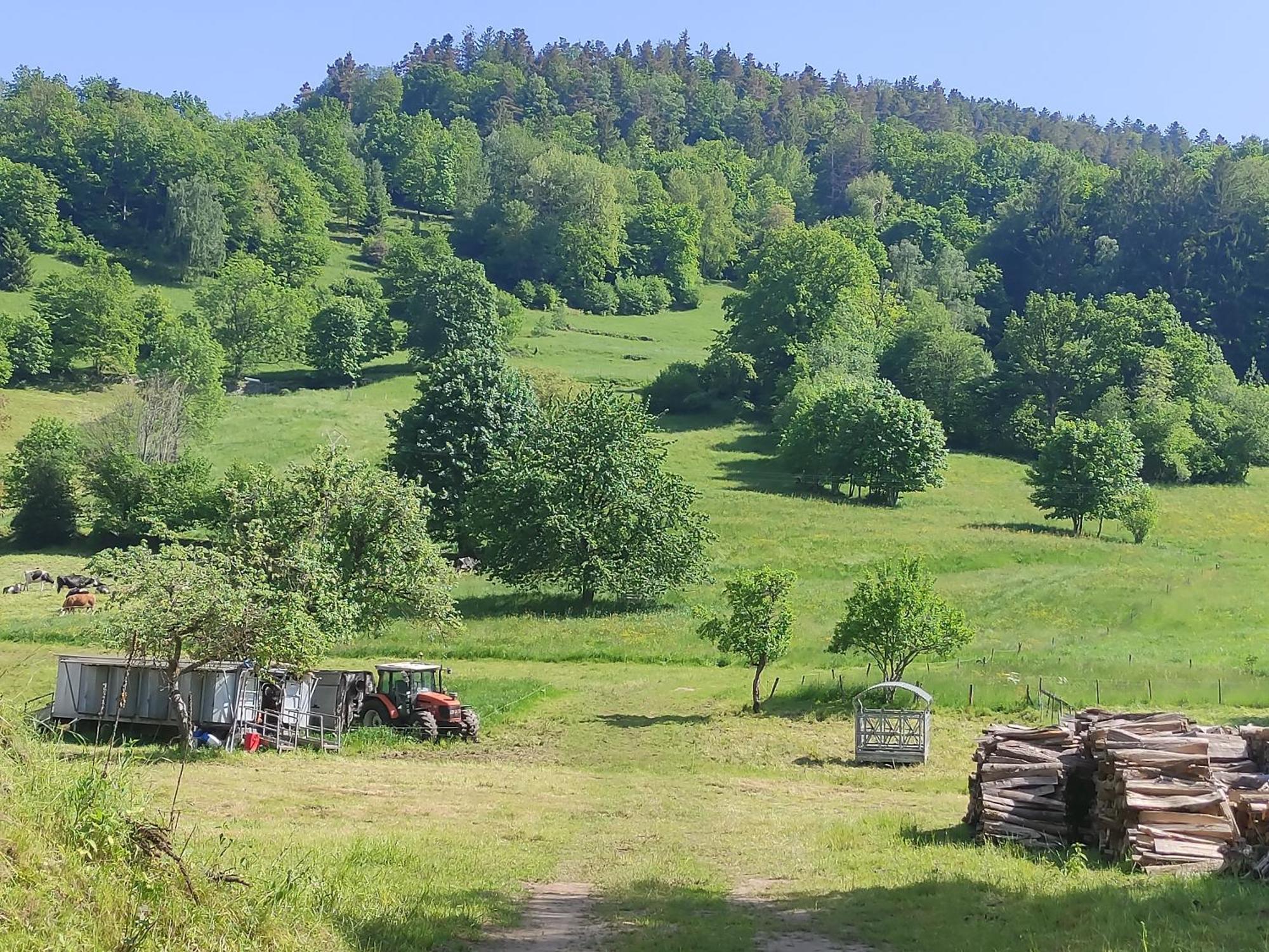 Les Studios Du Frankenthal Stosswihr ภายนอก รูปภาพ