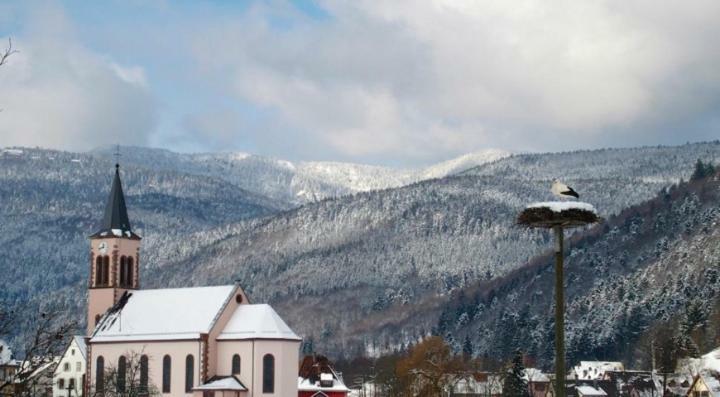 Les Studios Du Frankenthal Stosswihr ภายนอก รูปภาพ